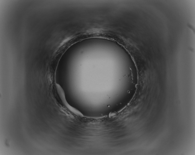 X0000097781206200803071342