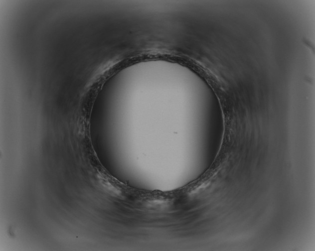 X0000097781207200803071342
