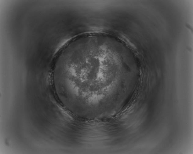 X0000097781208200803071342