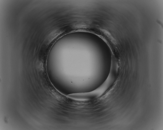 X0000097781209200803071342