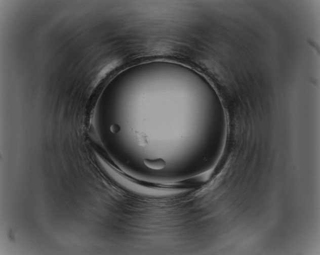 X0000097781210200803071342
