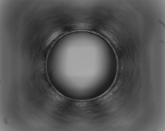 X0000097781211200803071342