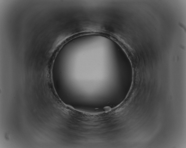 X0000097781215200803071342