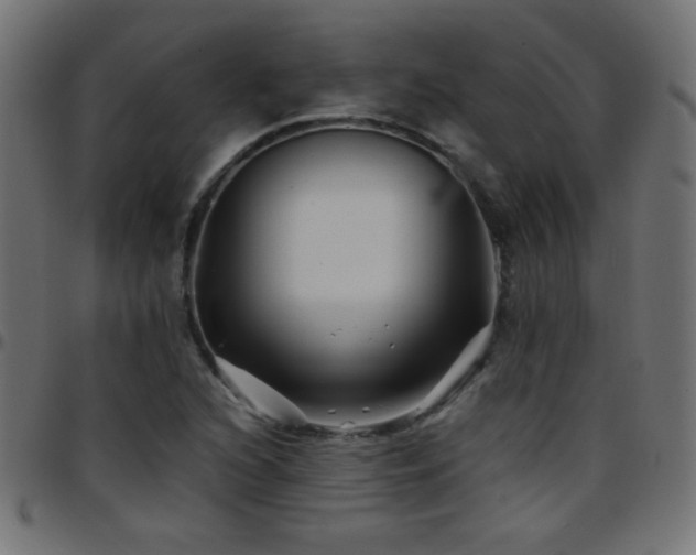X0000097781216200803071342