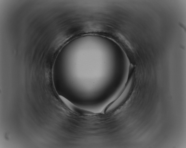 X0000097781217200803071342