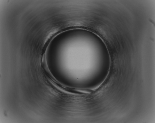 X0000097781218200803071342