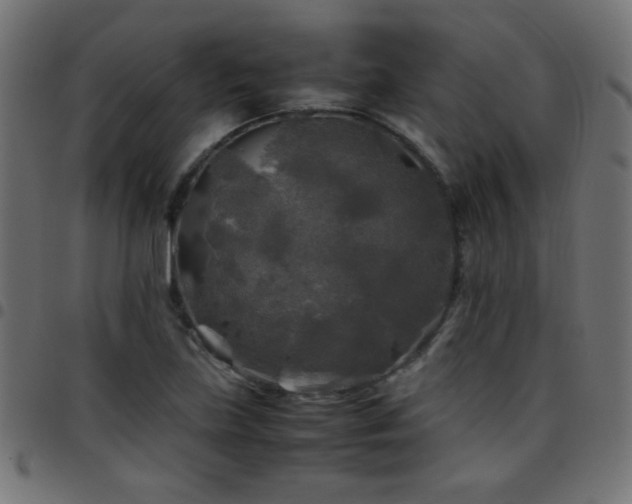 X0000097781219200803071342