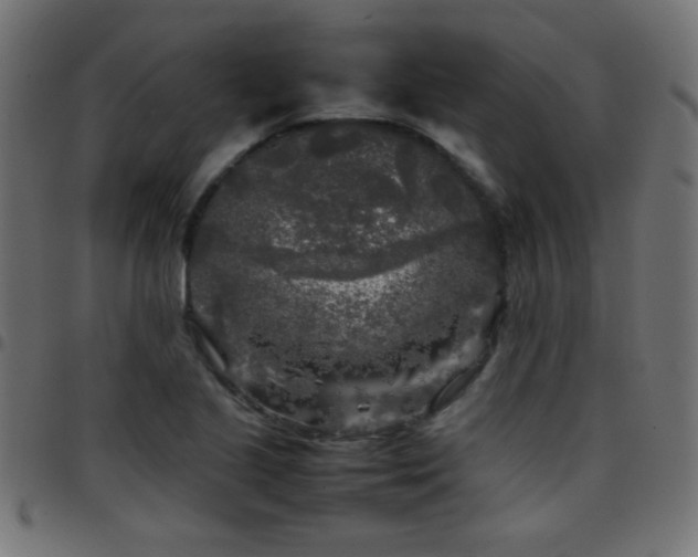 X0000097781221200803071342