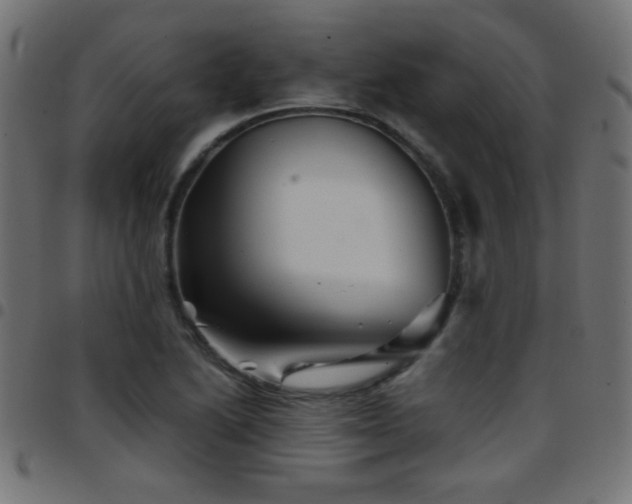 X0000097781222200803071342