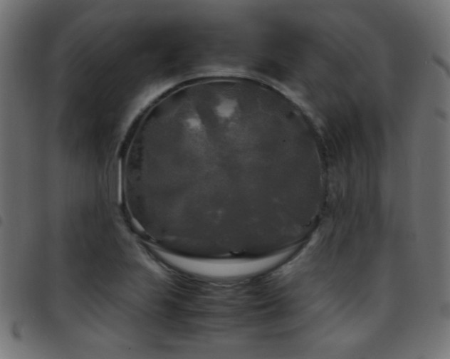 X0000097781223200803071342