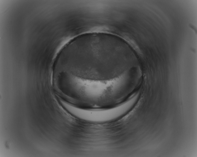 X0000097781224200803071342