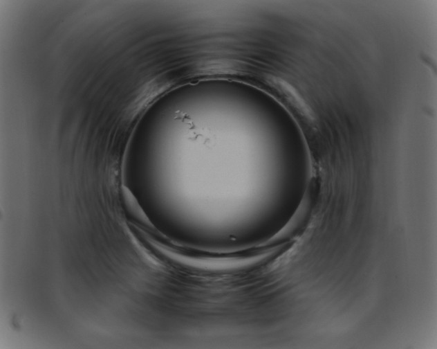 X0000097781225200803071342
