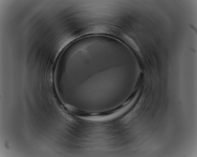X0000097781226200803071342