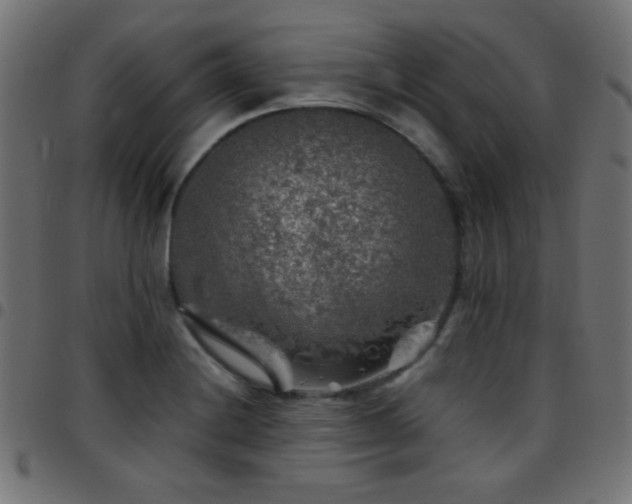X0000097781228200803071342
