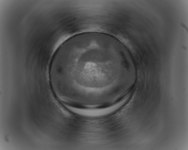 X0000097781230200803071342