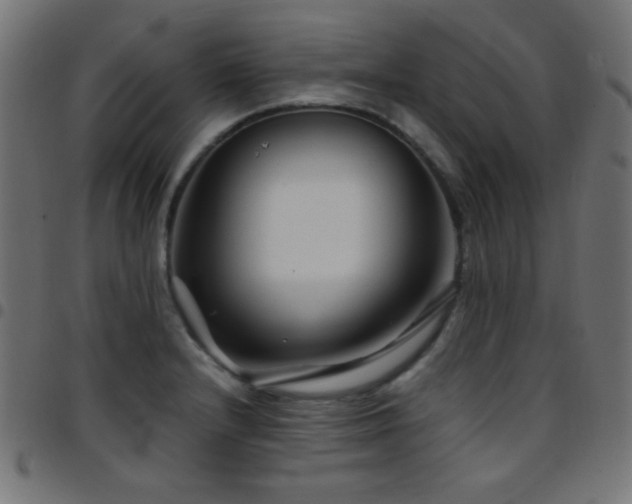 X0000097781232200803071342
