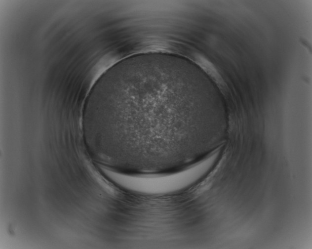X0000097781234200803071342