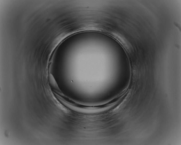 X0000097781236200803071342