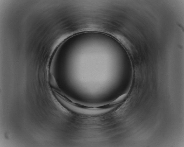 X0000097781238200803071342
