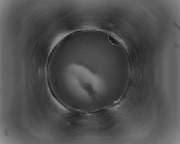 X0000097781239200803071342
