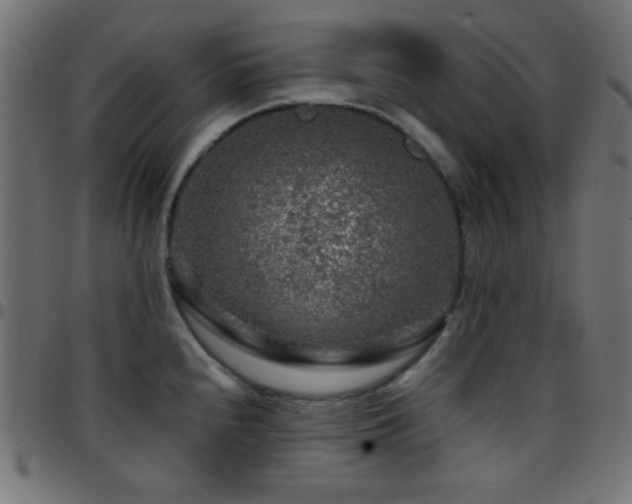 X0000097781240200803071342