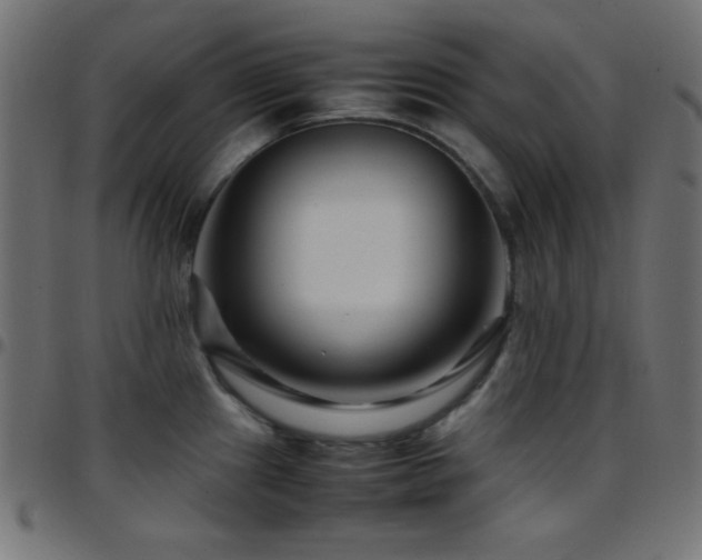 X0000097781241200803071342