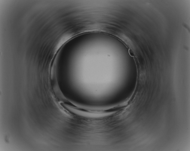 X0000097781242200803071342