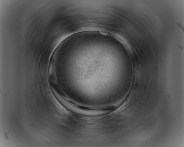 X0000097781244200803071342