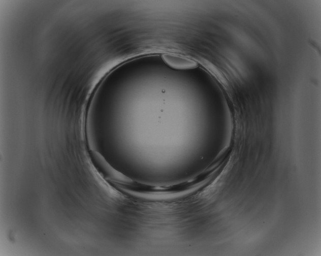 X0000097781246200803071342