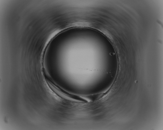 X0000097781248200803071342