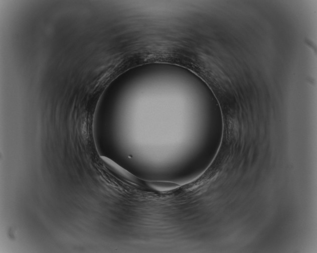 X0000097781250200803071342