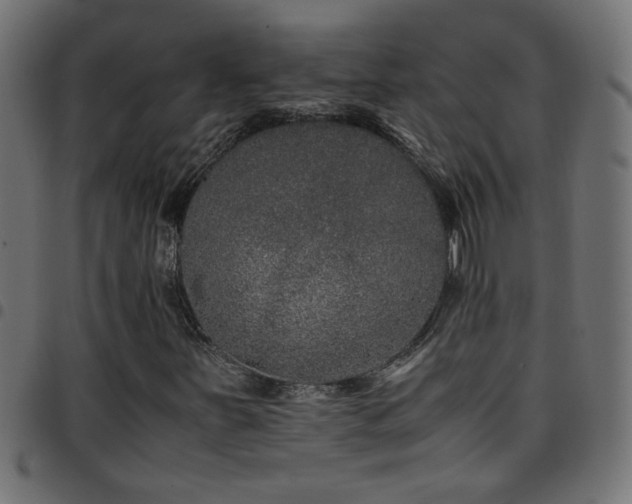 X0000097781251200803071342