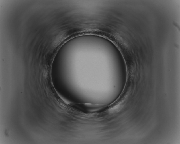 X0000097781257200803071341