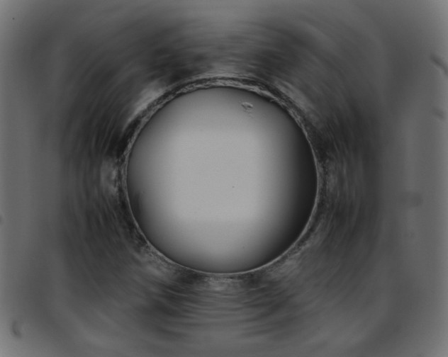 X0000097781258200803071341