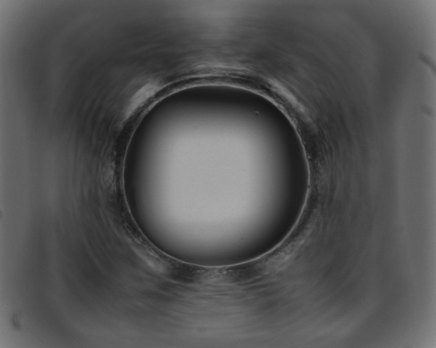 X0000097781259200803071341
