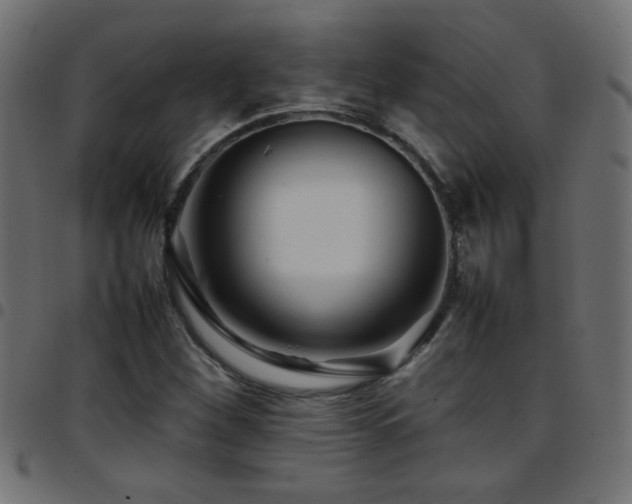 X0000097781260200803071341