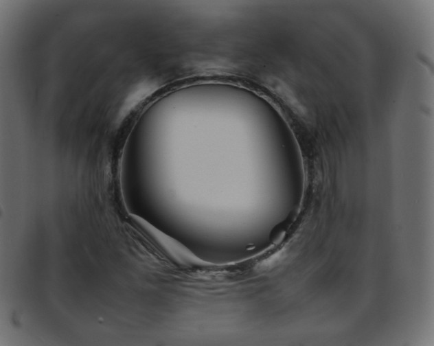 X0000097781261200803071341