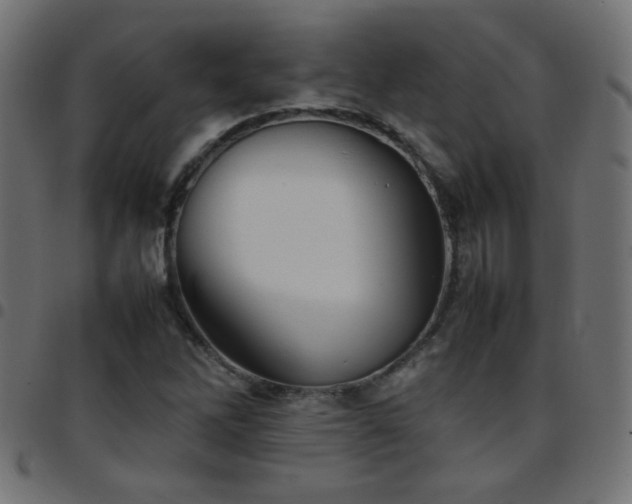 X0000097781262200803071341