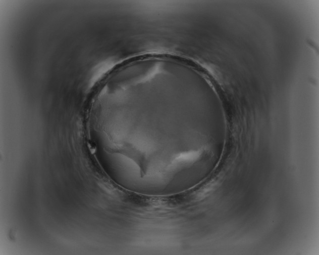 X0000097781263200803071341