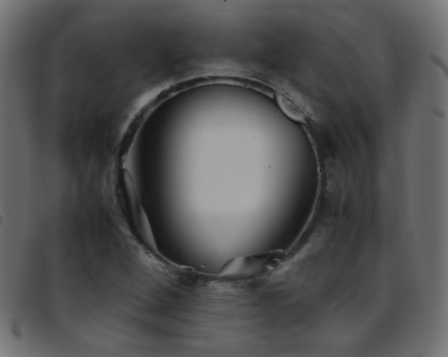 X0000097781264200803071341