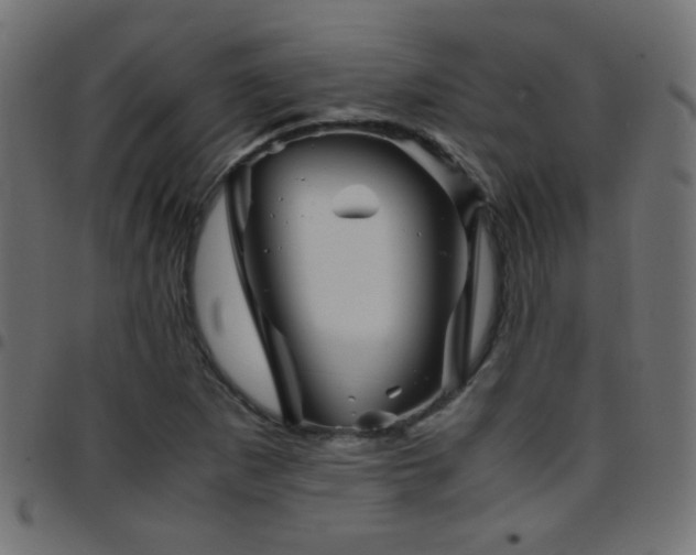 X0000097781265200803071341