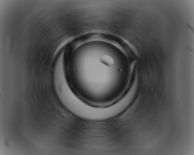 X0000097781266200803071341