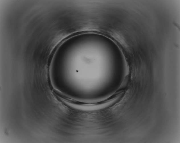 X0000097781268200803071341