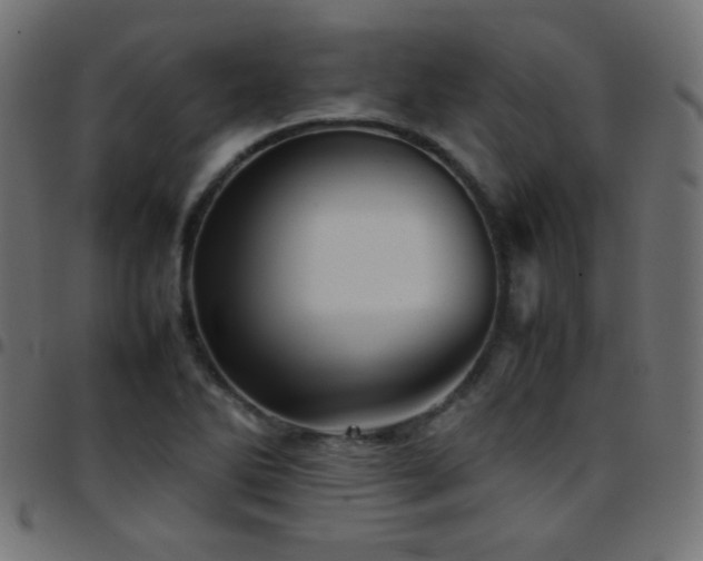 X0000097781270200803071341