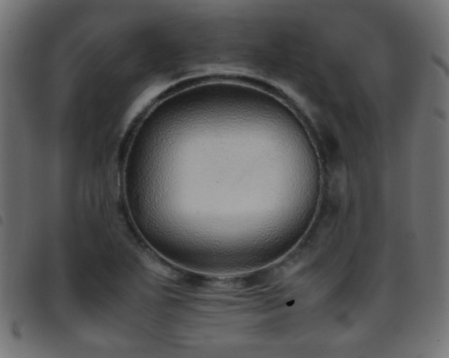 X0000097781271200803071341