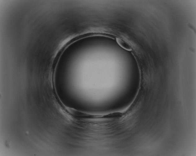 X0000097781272200803071341