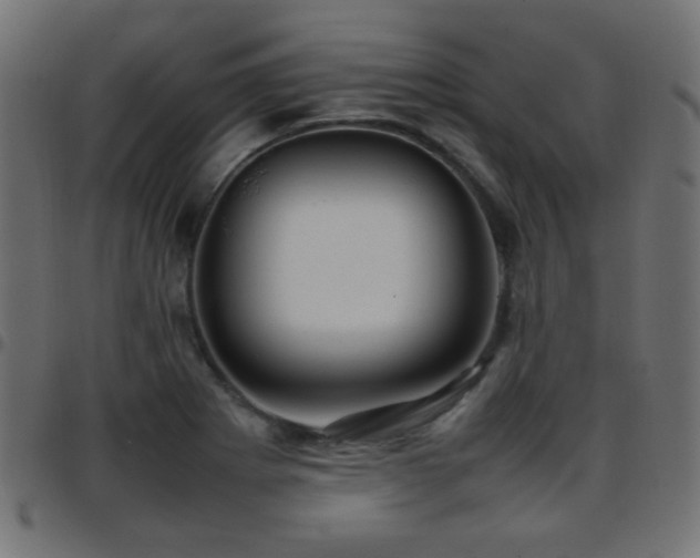 X0000097781273200803071341