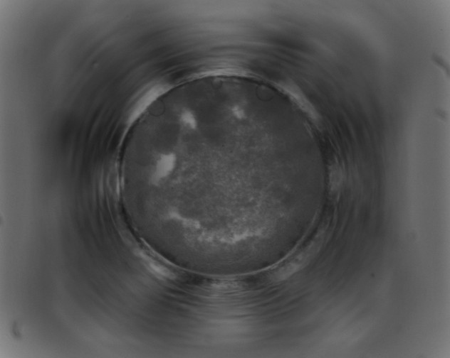 X0000097781274200803071341