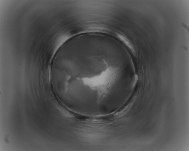 X0000097781275200803071341