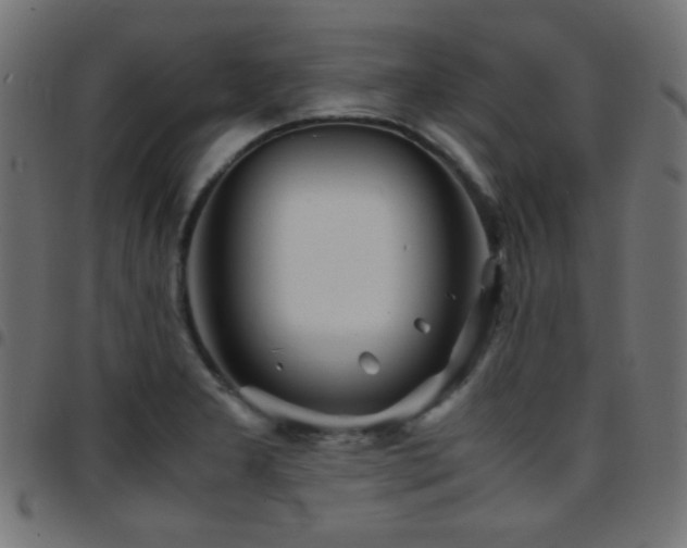 X0000097781277200803071341